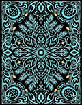 Aqua Floral Medallion Black Border Rug