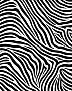 Bold Black White Zebra Stripe Design Rug