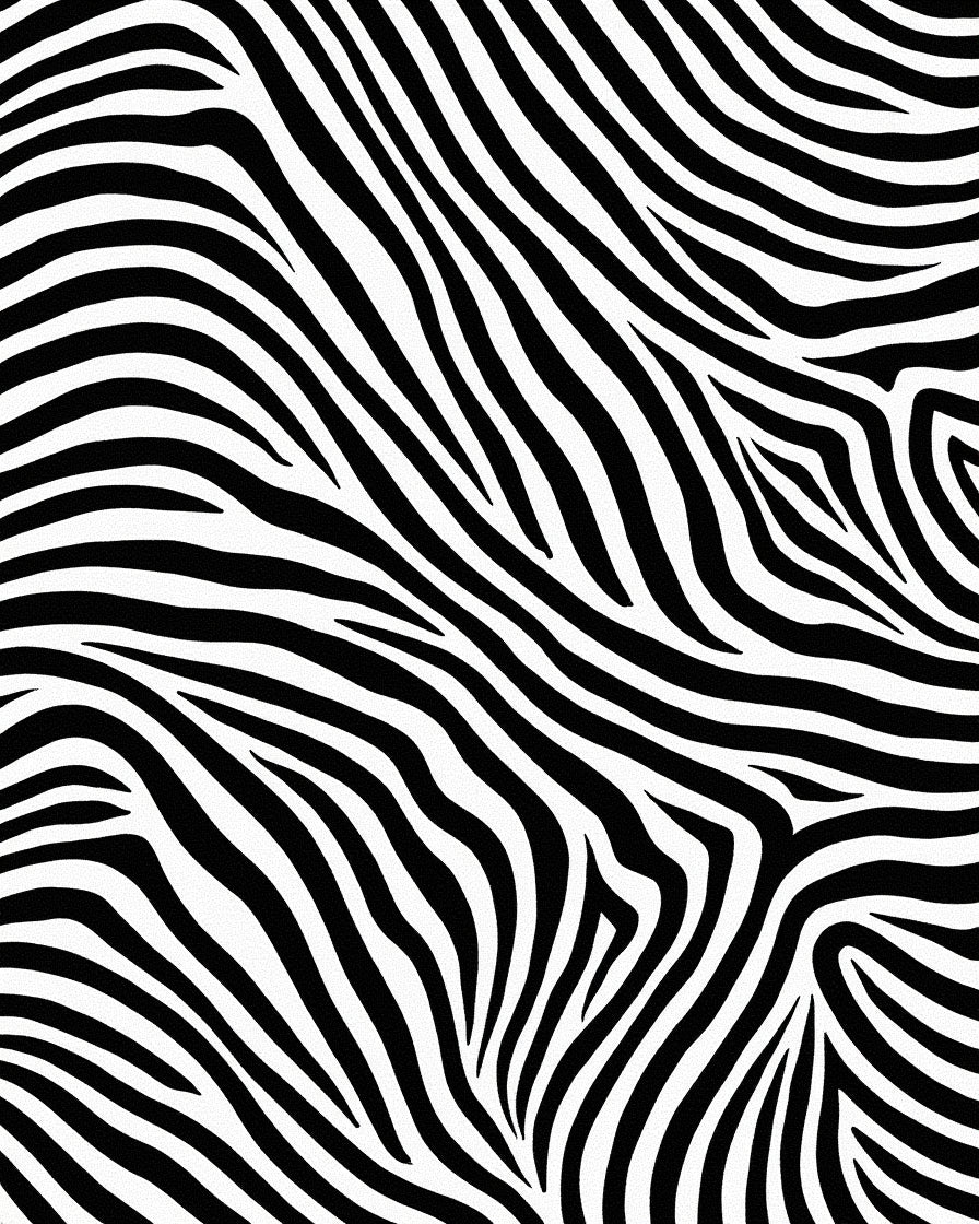Bold Black White Zebra Stripe Design Rug