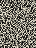 Bold Leopard Print Pattern Rug