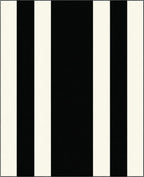 Bold Black White Stripe Design Rug