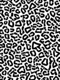 Bold Black Leopard Spots Print Rug