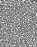 Bold Black White Organic Pattern Rug