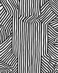Striking Black White Geometric Lines Rug
