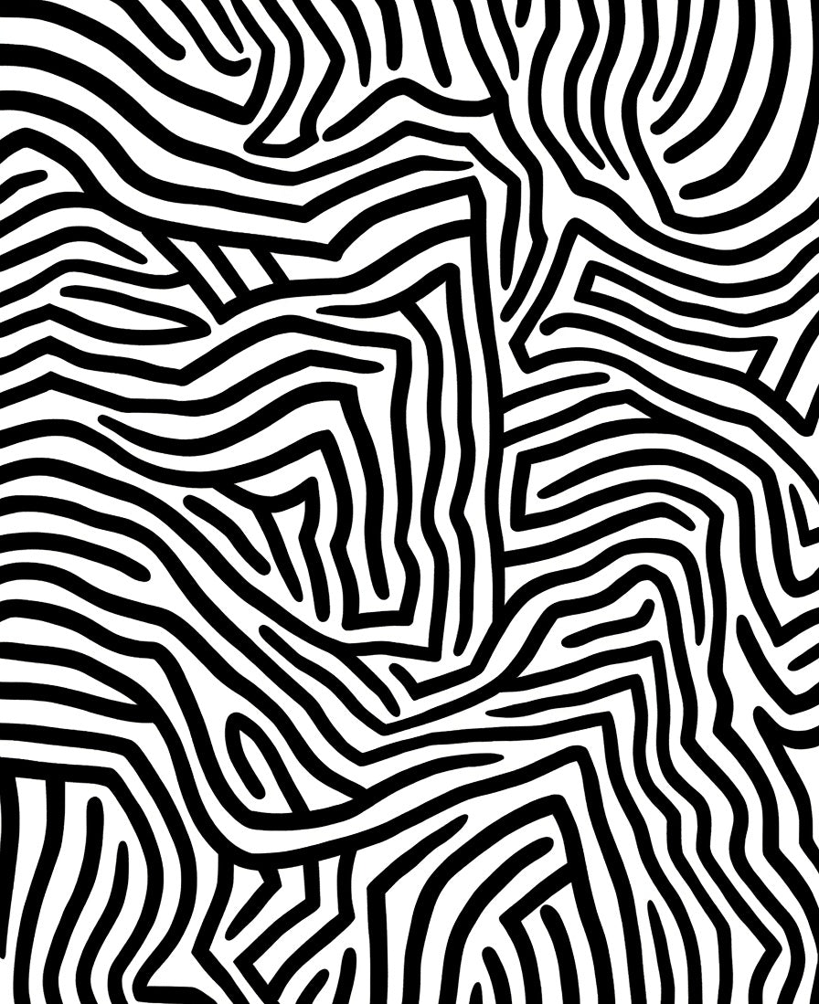 Black White Abstract Organic Lines Rug