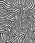 Black White Abstract Organic Lines Rug