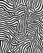 Black White Abstract Organic Lines Rug
