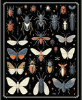Insect Motif Colorful And Detailed Design Rug