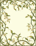 Elegant Floral Vine Border Design Rug