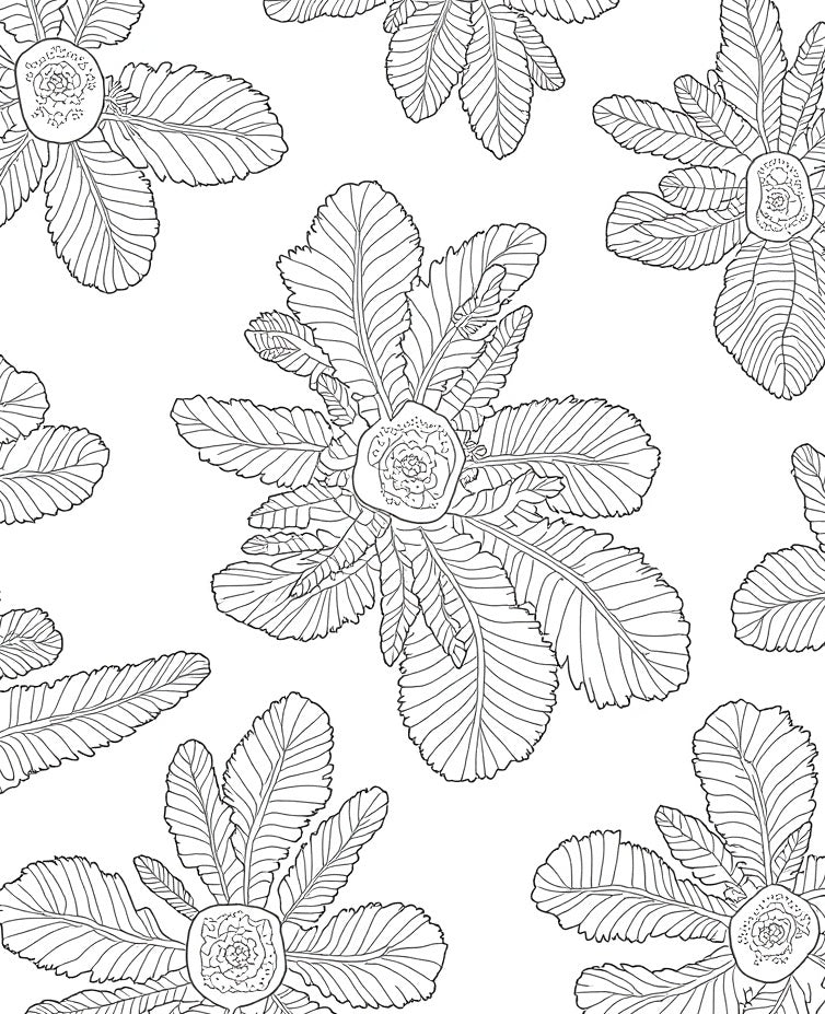 Botanical Outline Floral Pattern Rug