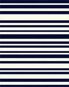 Bold Navy Ivory Stripe Pattern Rug