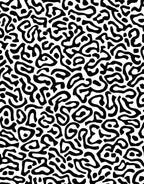 Monochrome Abstract Organic Pattern Rug