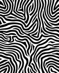 Black and White Wild Pattern Rug