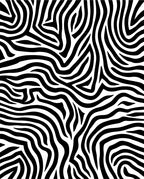 Black and White Wild Pattern Rug