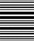 Modern Black and White Horizontal Stripes Rug