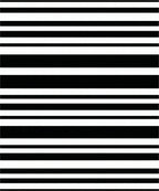 Modern Black and White Horizontal Stripes Rug