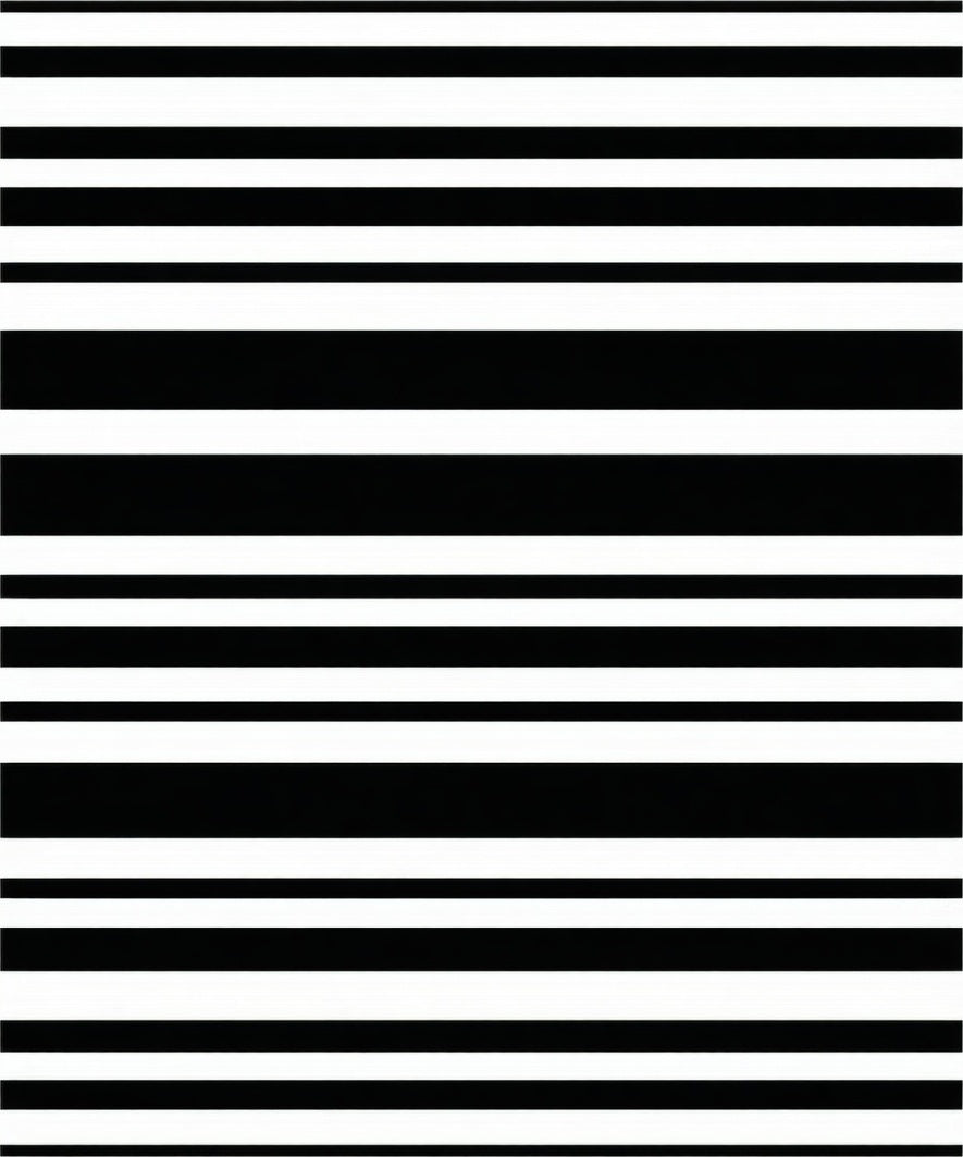 Modern Black and White Horizontal Stripes Rug