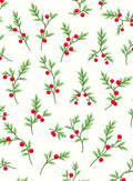 Delicate Red Berry Botanical Illustrations Rug