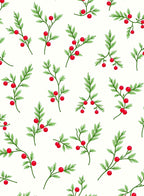 Delicate Red Berry Botanical Illustrations Rug