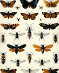 Vintage Insect Butterfly Motif Rug