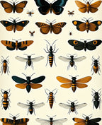 Vintage Insect Butterfly Motif Rug