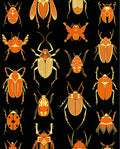 Orange Bug Pattern Design Rug