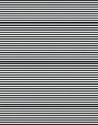 Black and White Horizontal Stripe Rug