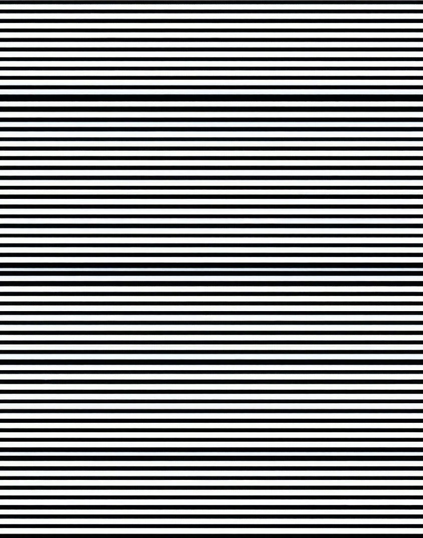 Black and White Horizontal Stripe Rug