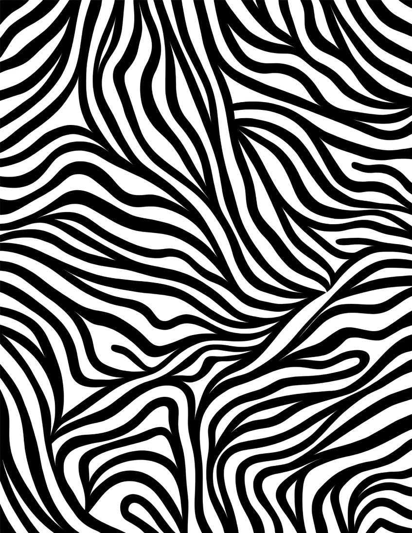 Monochrome Zebra Stripe Abstract Pattern Rug