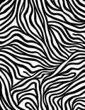Monochrome Zebra Stripe Abstract Pattern Rug