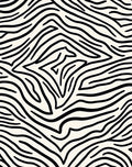 Classic Zebra Stripe Pattern Rug