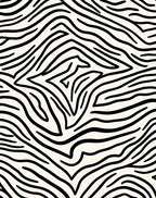 Classic Zebra Stripe Pattern Rug
