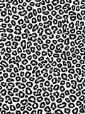 Bold Black White Animal Print Rug