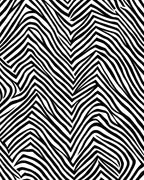 Bold Black White Zebra Pattern Rug