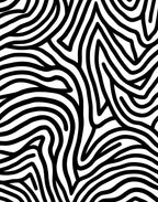 Abstract Zebra Stripe Pattern Rug