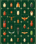 Entomology Insect Pattern Rug