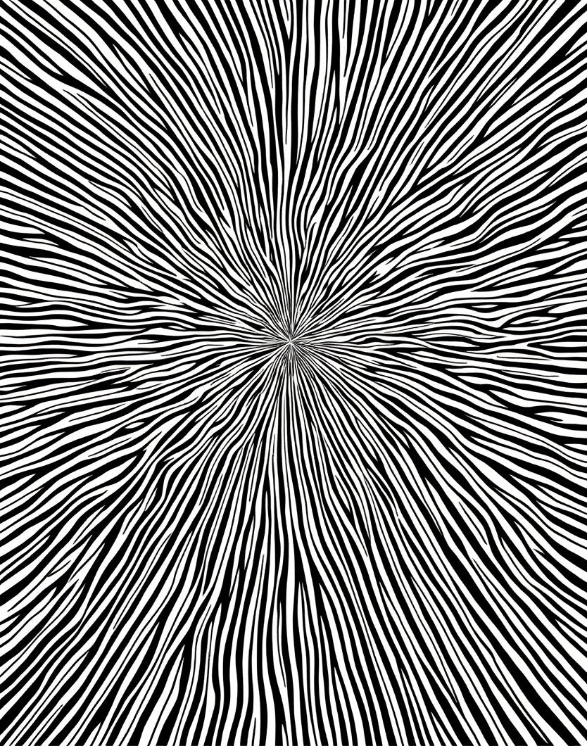 Drawn Black 2 Tone Radial Stripes Rug
