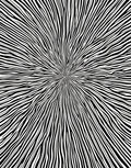 Drawn Black 2 Tone Radial Stripes Rug