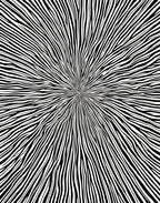 Drawn Black 2 Tone Radial Stripes Rug