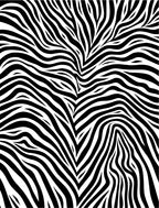 Bold Black White Zebra Print Rug