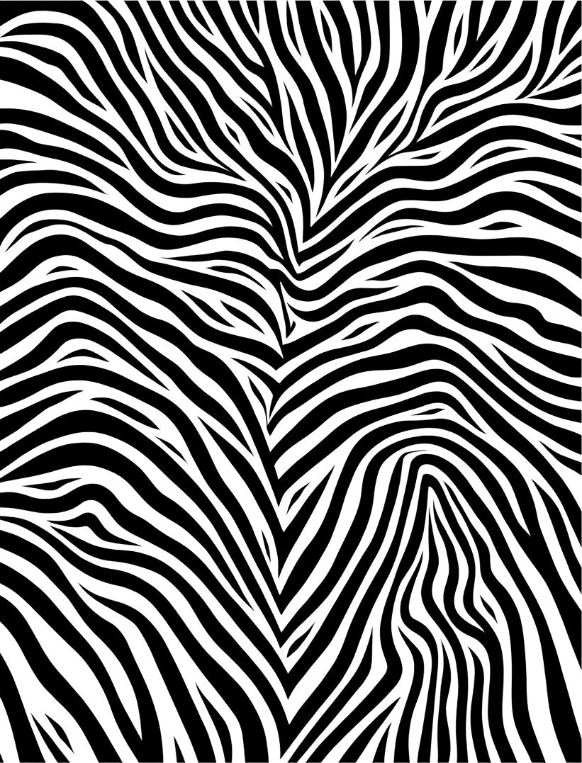 Bold Black White Zebra Print Rug