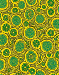Bold Floral Abstract Yellow Green Rug