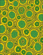 Bold Floral Abstract Yellow Green Rug