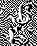 Striking Black White Abstract Lines Rug