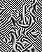 Striking Black White Abstract Lines Rug