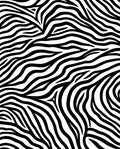 Bold Black White Zebra Stripes Rug