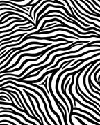 Bold Black White Zebra Stripes Rug