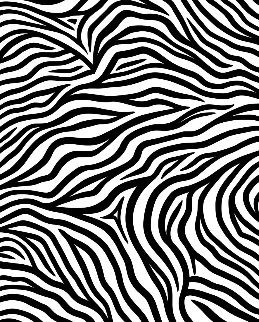 Bold Black White Zebra Stripes Rug
