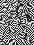 Bold Black White Maze Pattern Rug