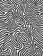 Bold Black White Maze Pattern Rug